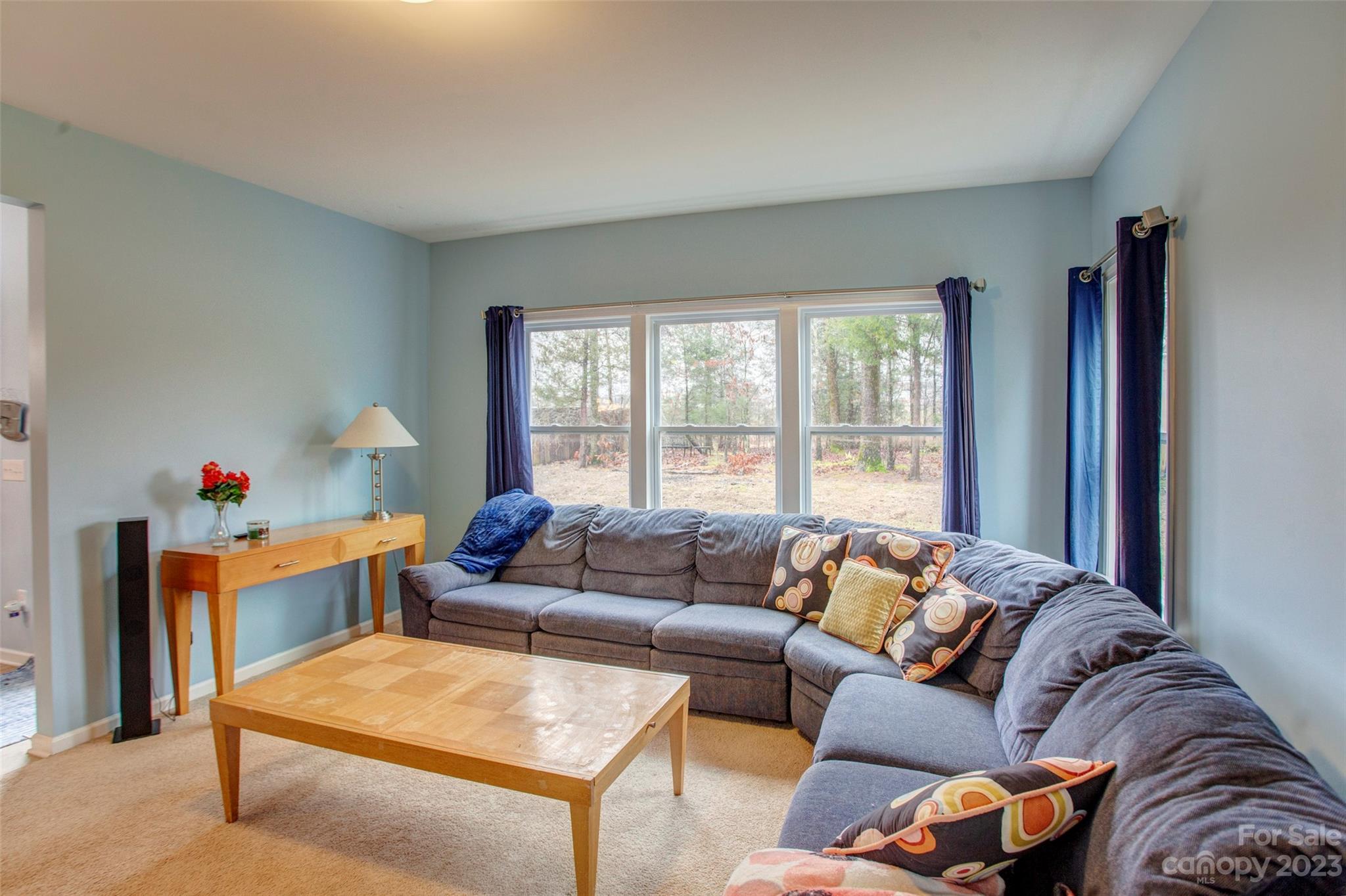 Saddlebrook - Residential