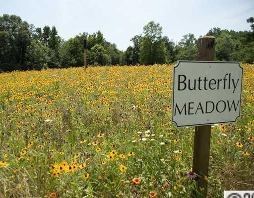 The Woodlands At Davidson - Land