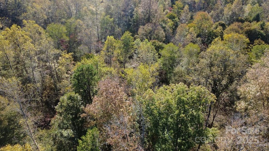 Clearwater Creek - Land