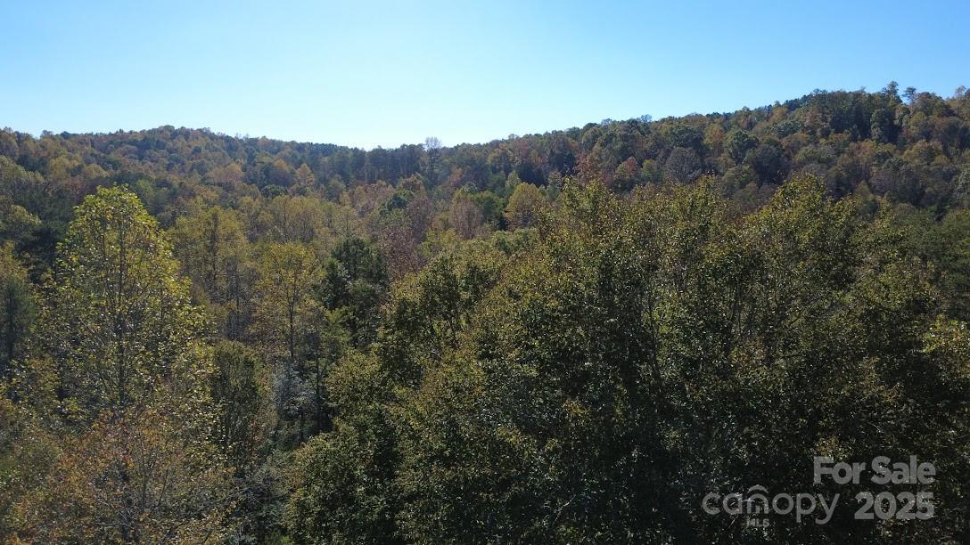 Clearwater Creek - Land