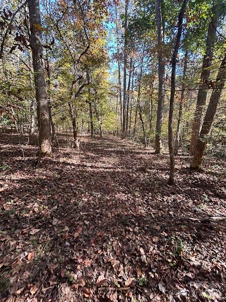 TBD Cross Creek Drive 140