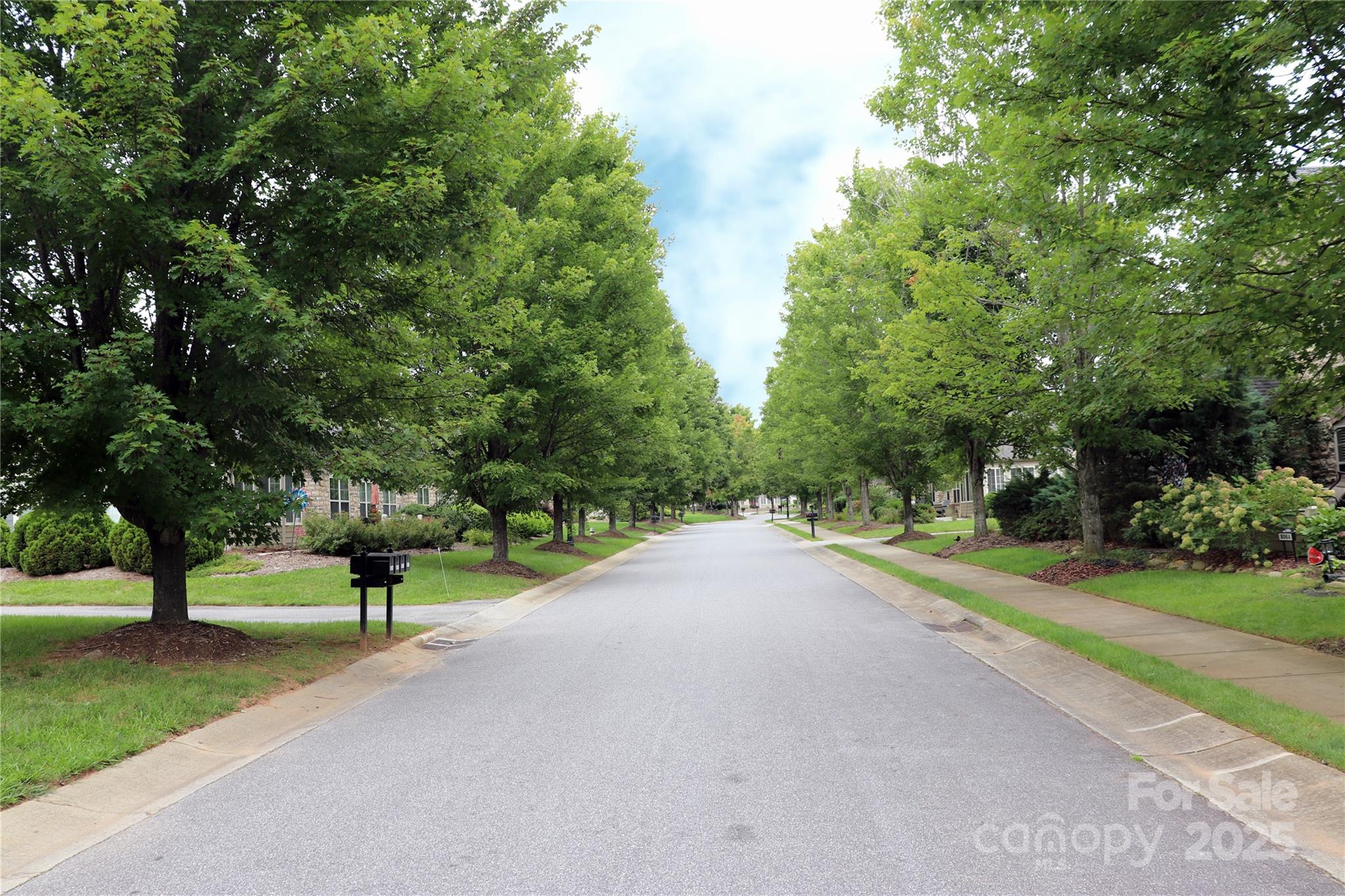 Wynnshire Ridge - Residential