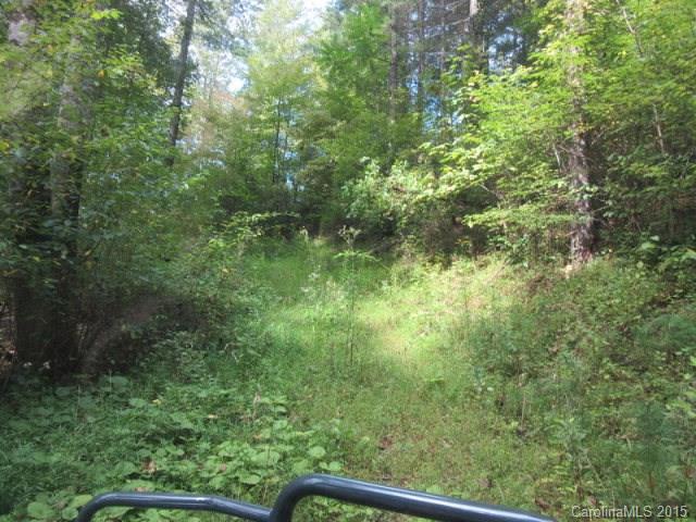 Beech Creek - Land