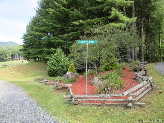 Beech Creek - Land