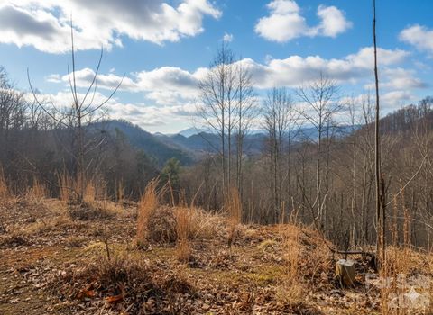 151 Thunderstruck Ridge Burnsville NC 28714