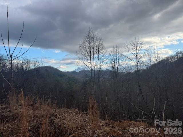 151 Thunderstruck Ridge