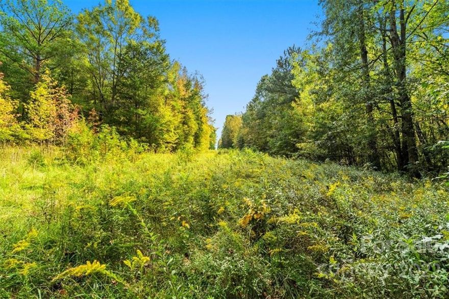 This beautiful tract is loaded with mature hardwoods and located centrally between Lake Wylie, York, Clover and Rock Hill!  This parcel is apart of York SC's established Shiloh Farms subdivision!  There are so many possibilities with this almost 8 acre parcel could be used for recreation, building your dream home or many other uses! Zoned RSF-40 with lots of road frontage on Charlotte Highway and a creek that gently flows on the right side of the parcel! Several possible building sites located throughout this gorgeous ground! Need a builder? Don't worry, there is a list of local builders available upon request! No mobile homes or modular homes are allowed. Hurry home to 1601 Charlotte Highway!