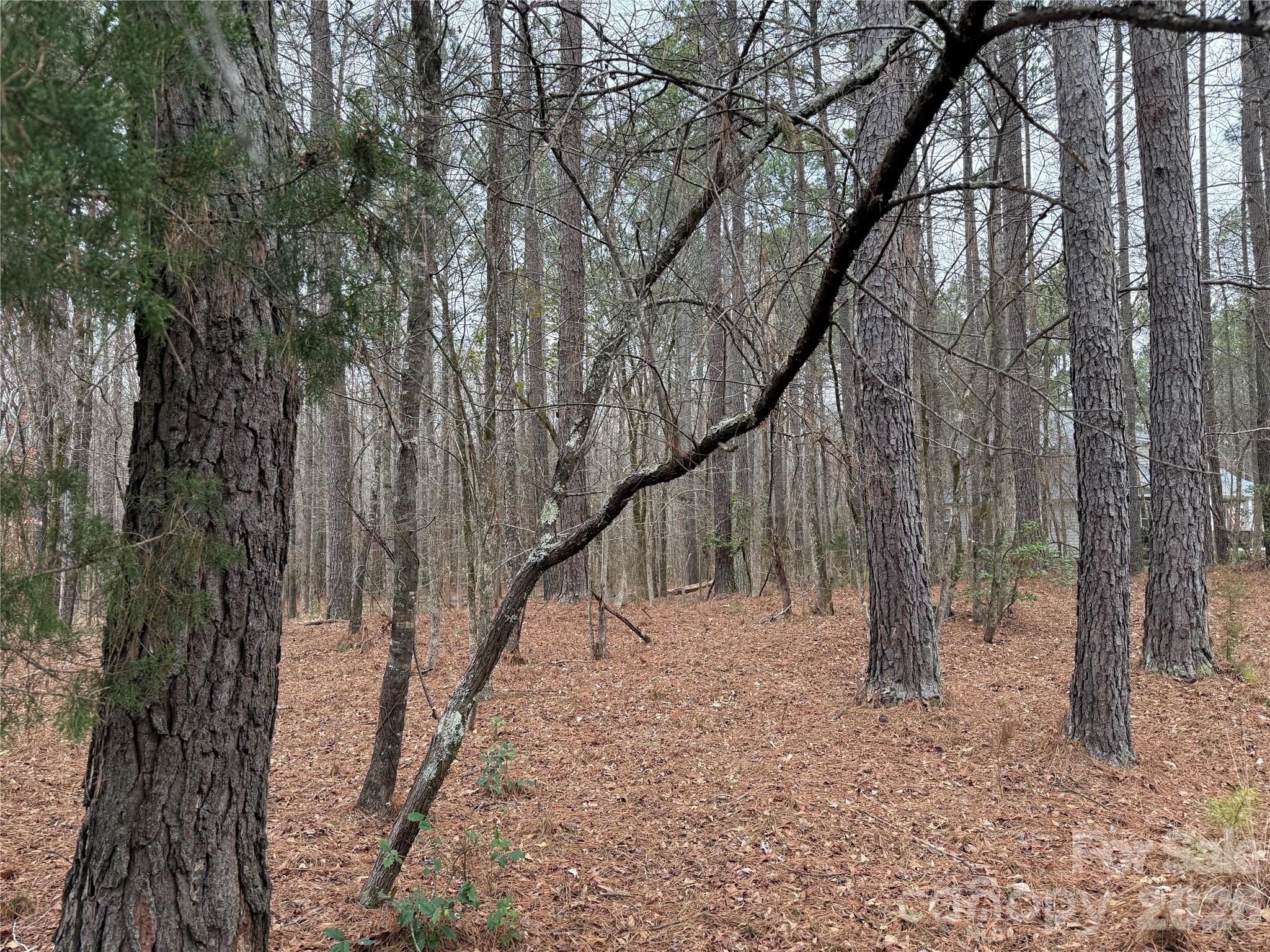 Riverchase Estates - Land