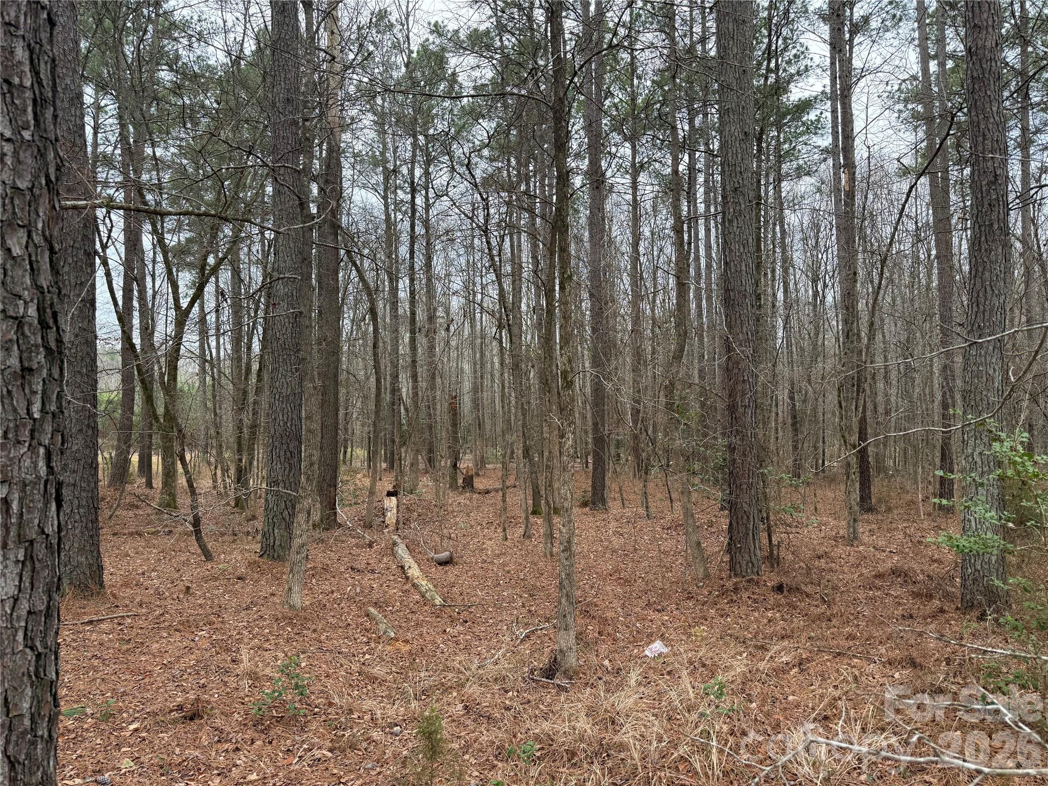 Riverchase Estates - Land