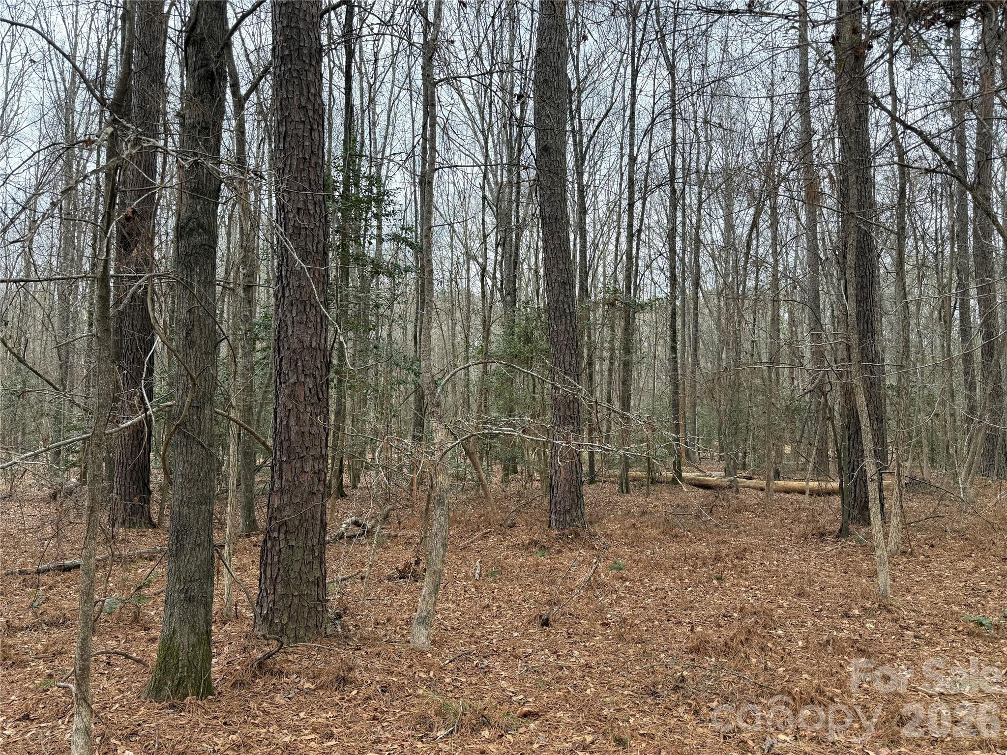 6191 Chimney Bluff Road