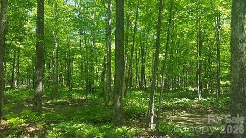 Photo of 0 Faith Road, Mooresville, NC 28115 (MLS # 4342588)