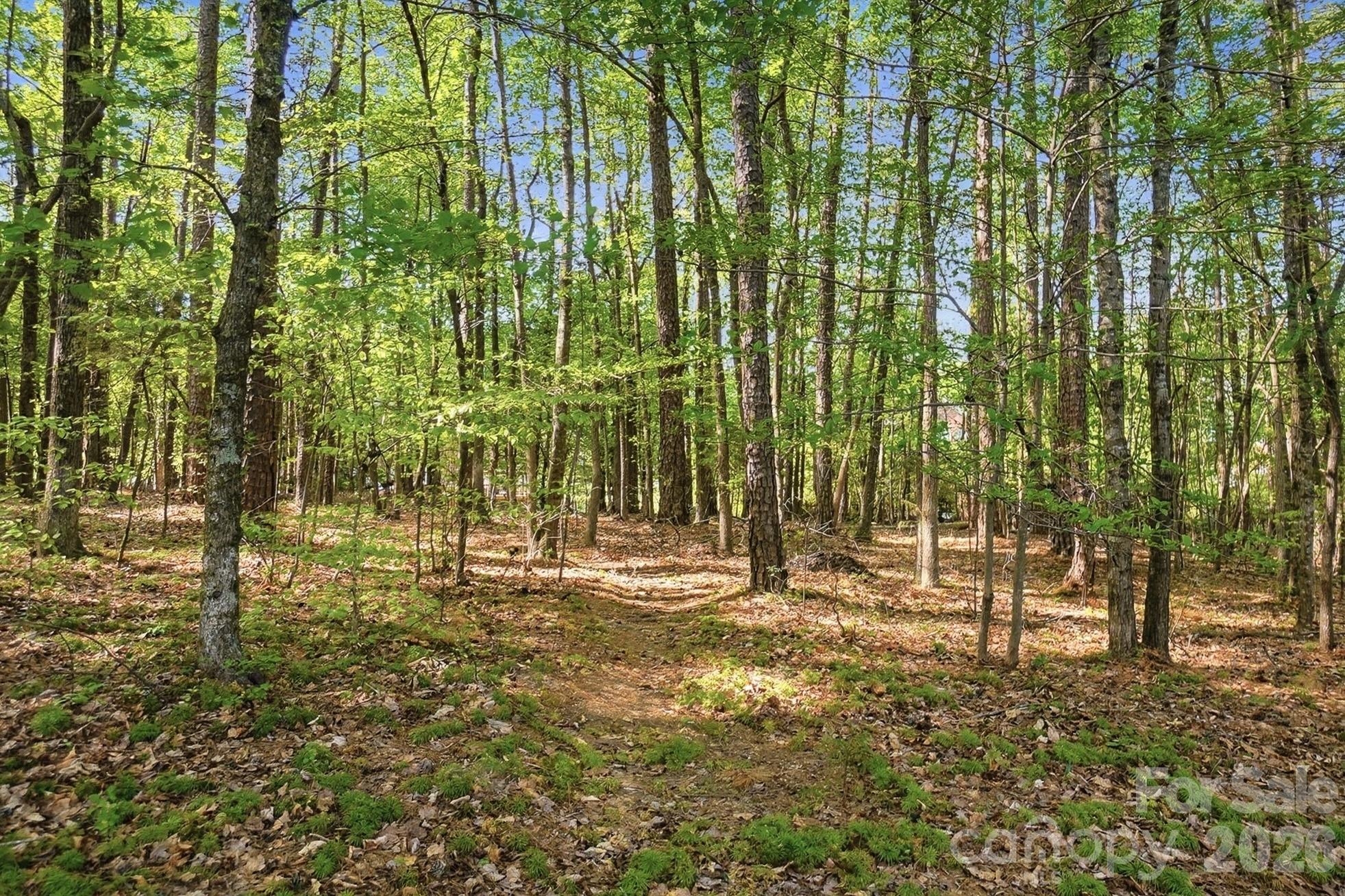 The Estates At Wesley Oaks - Residential