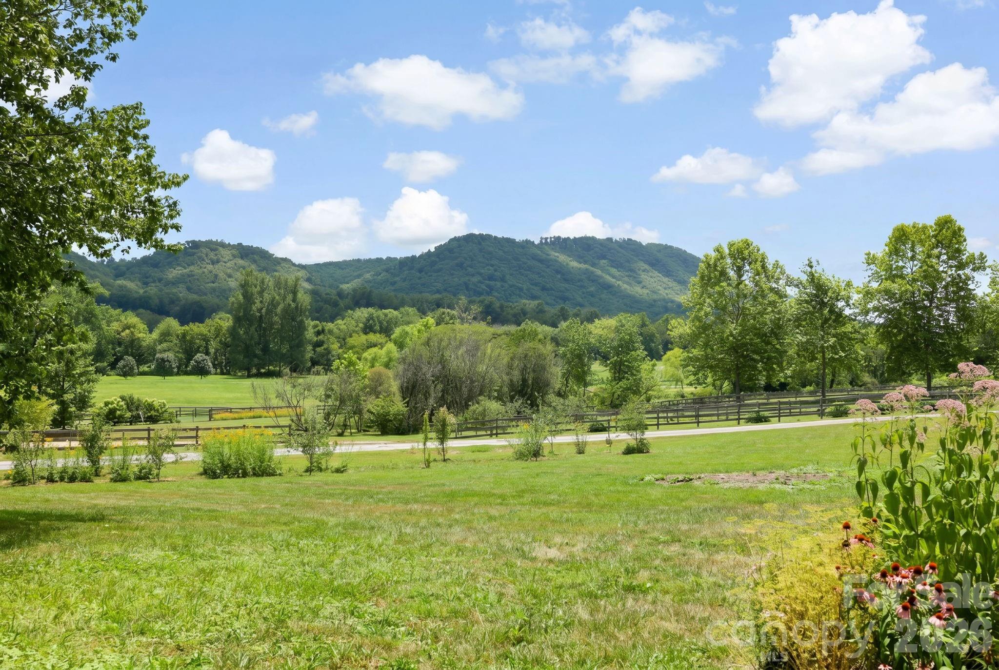 114 Cane Creek Ranch Drive