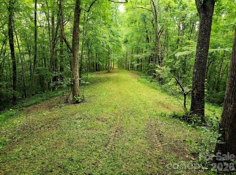 Photo of 9999 Hidden Cove Road, Leicester, NC 28748 (MLS # 4361367)
