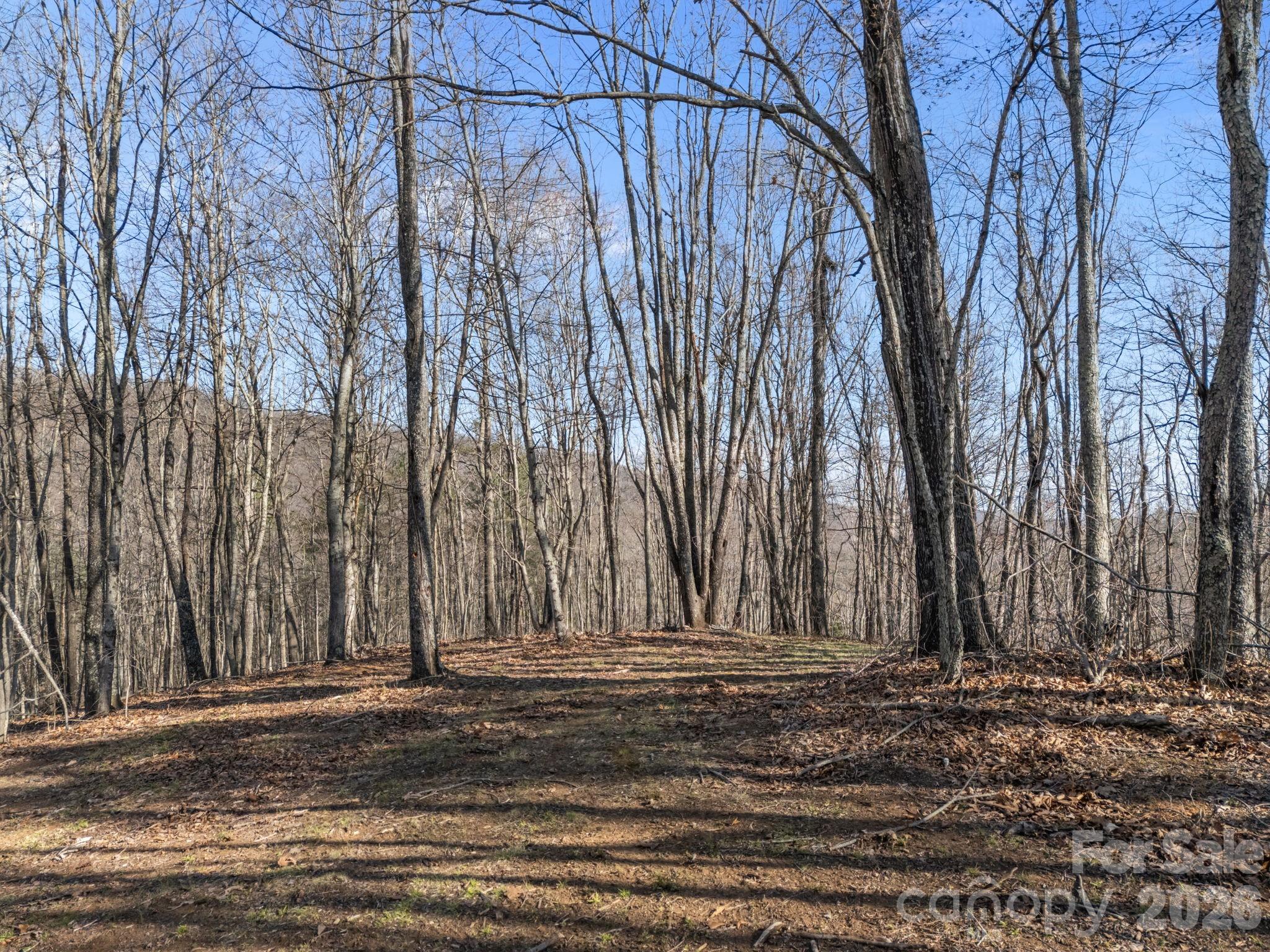 9999 Hidden Cove Road