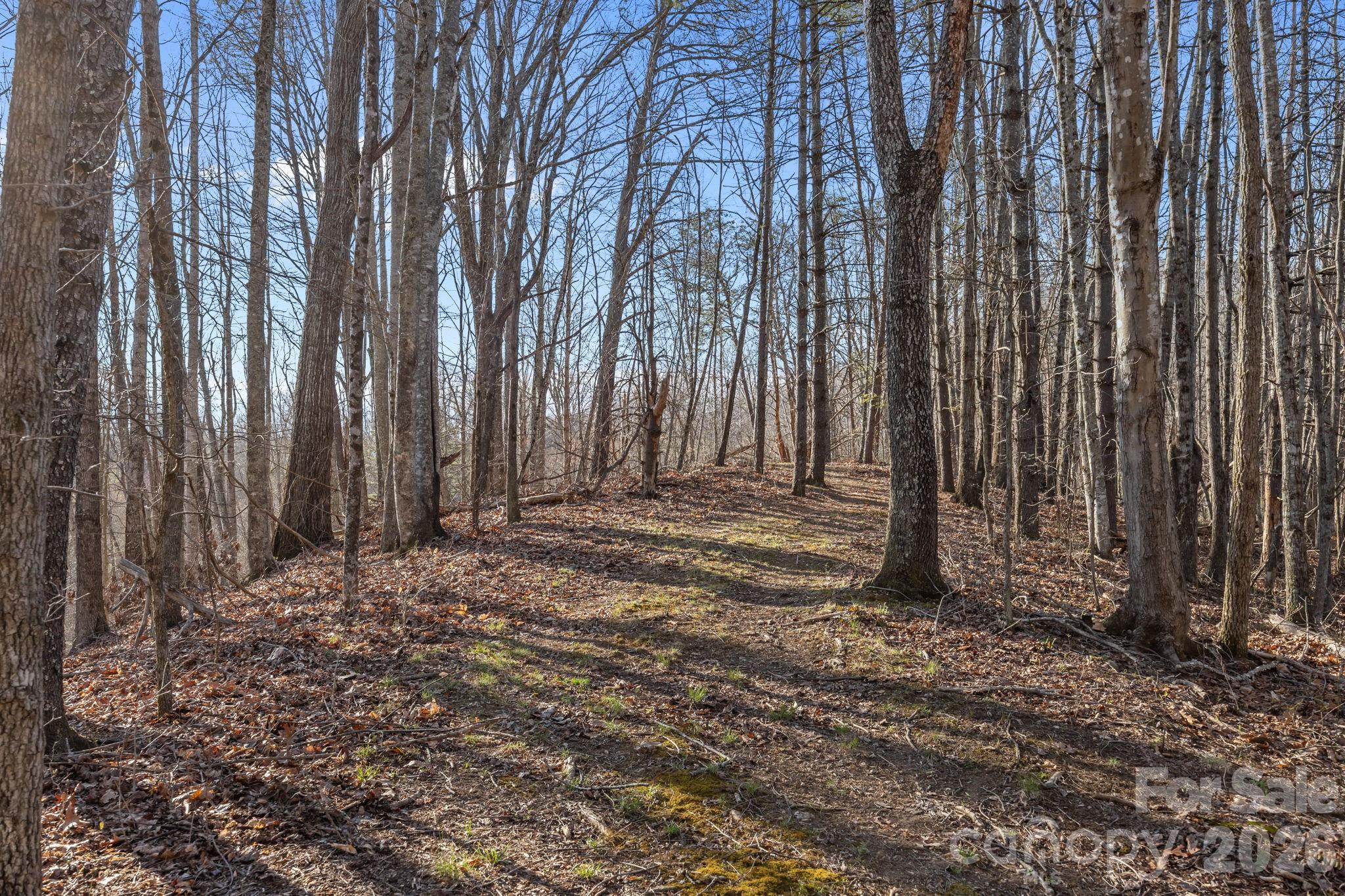 9999 Hidden Cove Road