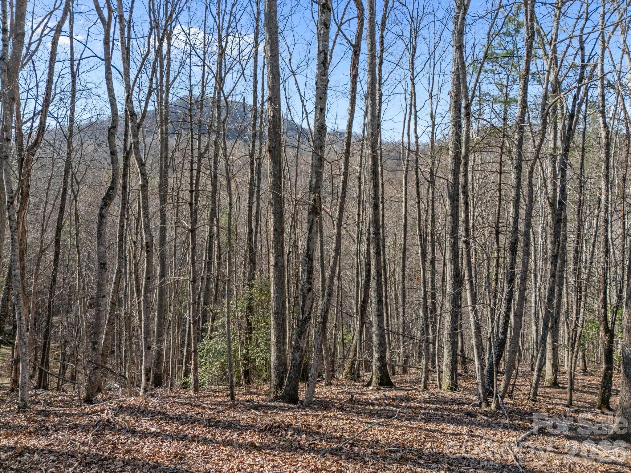 9999 Hidden Cove Road