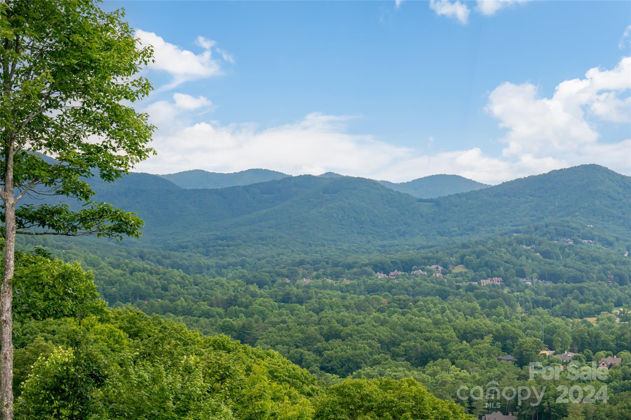 The Cliffs at Walnut Cove - Residential