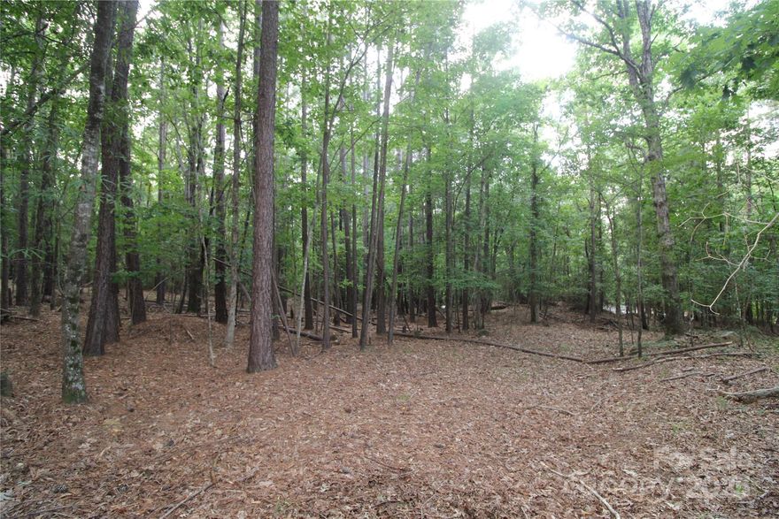 Beautiful 1+ acre lot, located on a quiet road in Rock Hill! Great location to build your dream home. Nice build site on over an acre of land with NO HOA! Minimum deed restrictions to create like in kind properties. Bring your own builder and build you dream home. Convenient location within minutes from the amenities of Rock Hill and have easy access to I-77. Property is part of a larger tract with other like in kind lots. Don't miss this opportunity to make this beautiful lot your future home!