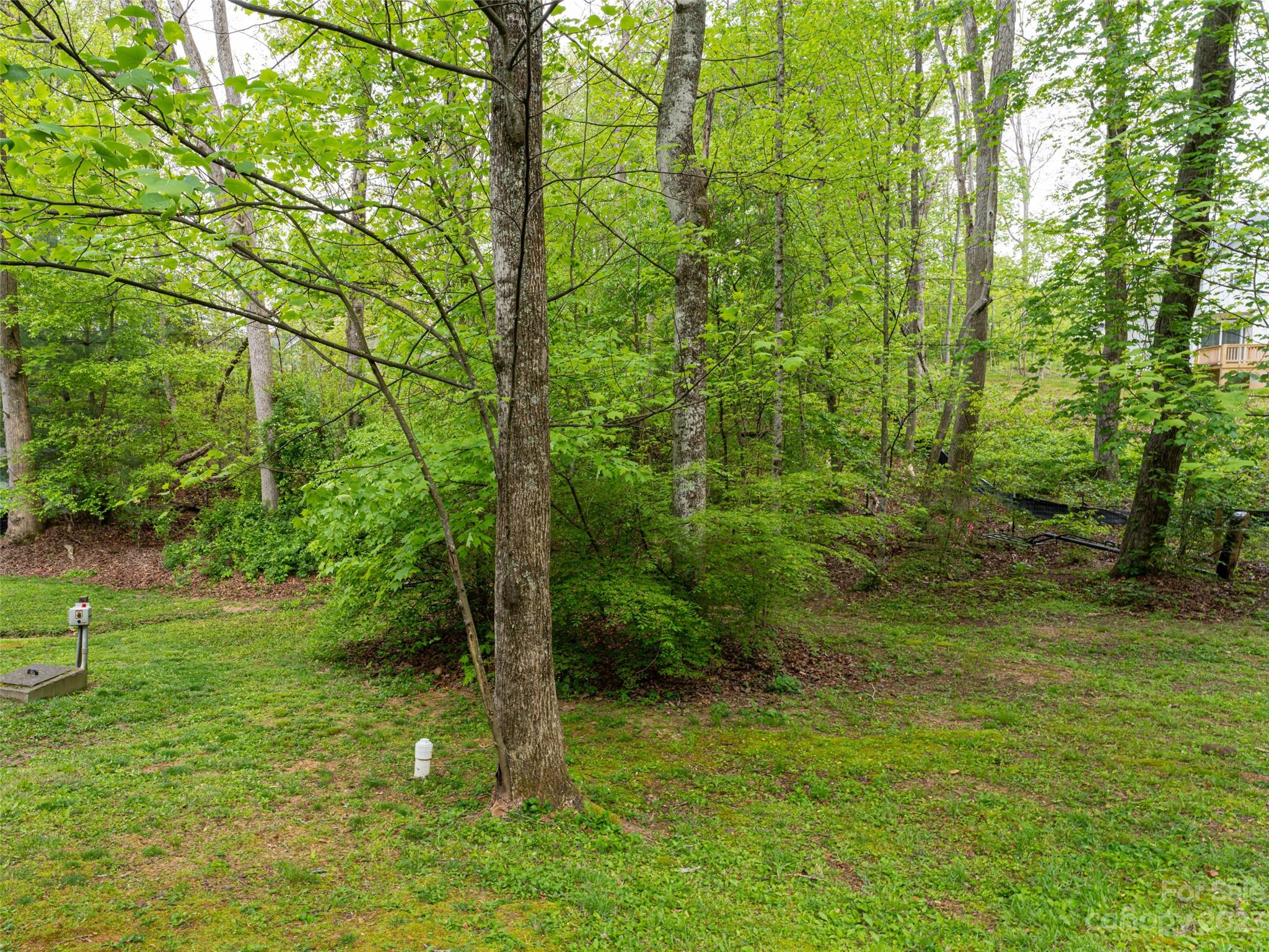 Black Mountain Heights - Residential