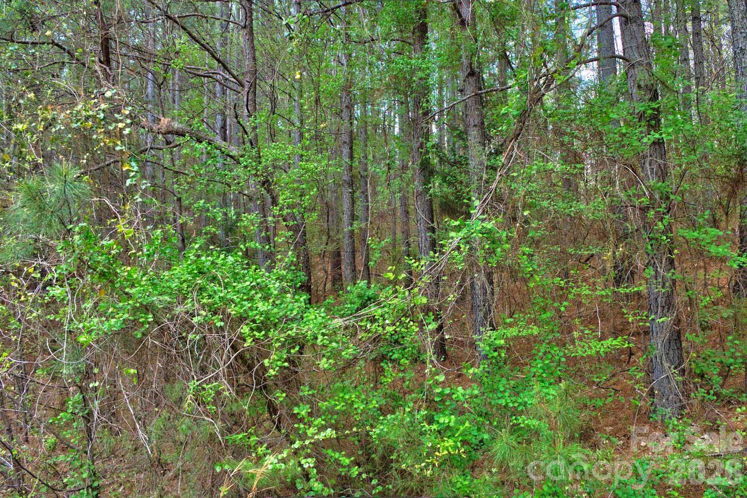 0 Clearwater Parkway 14