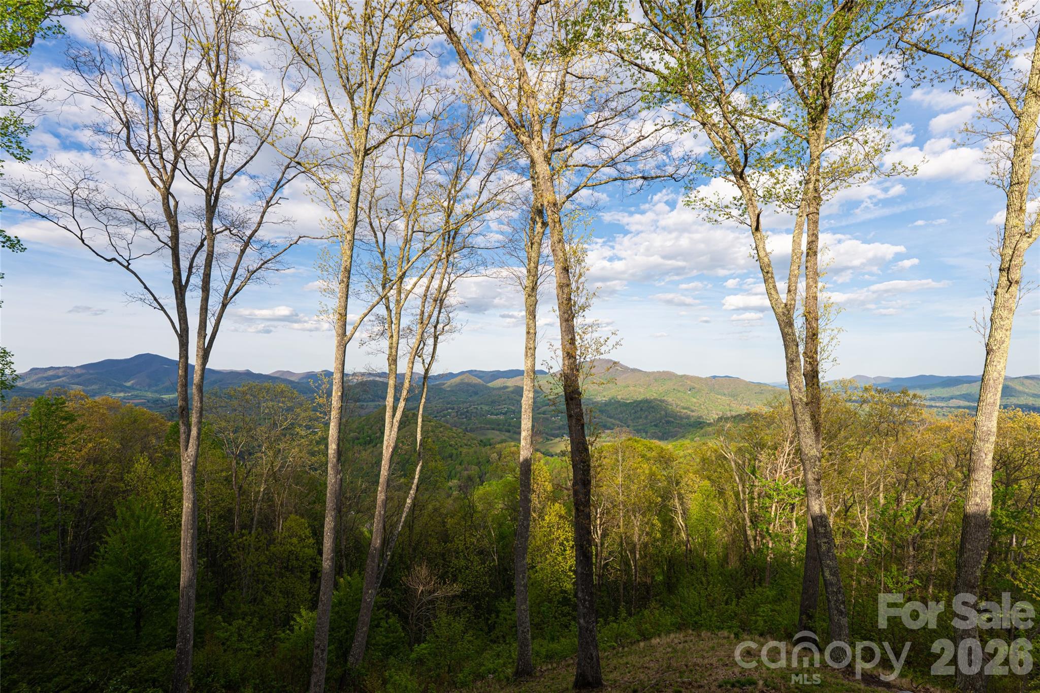 Avalon - Residential