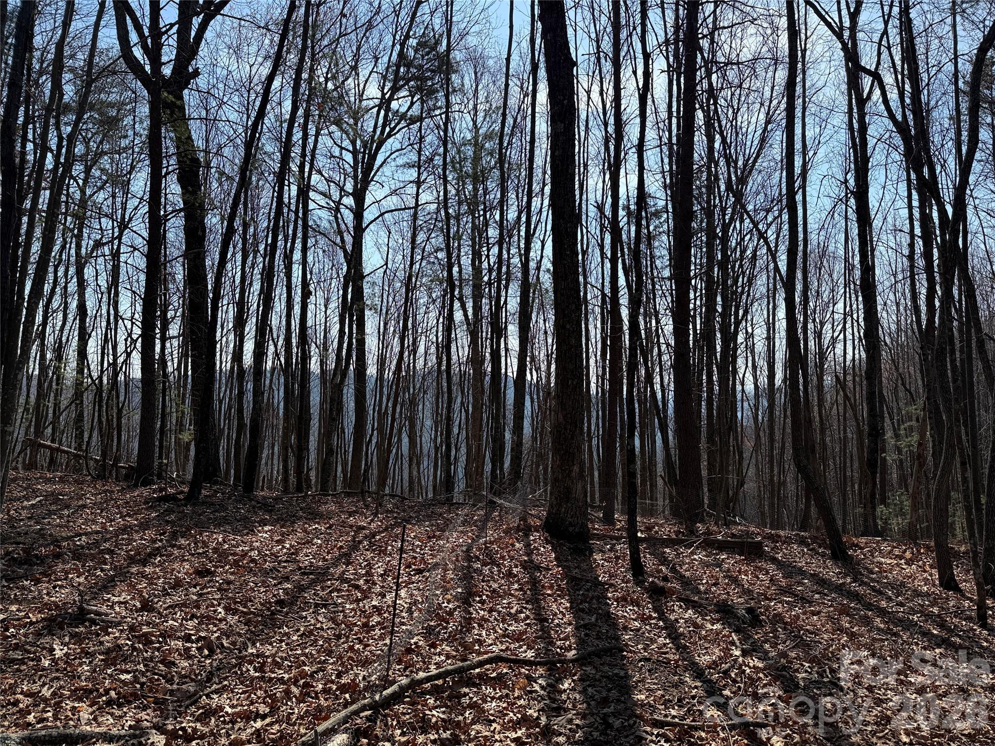 Buck Mountain - Land