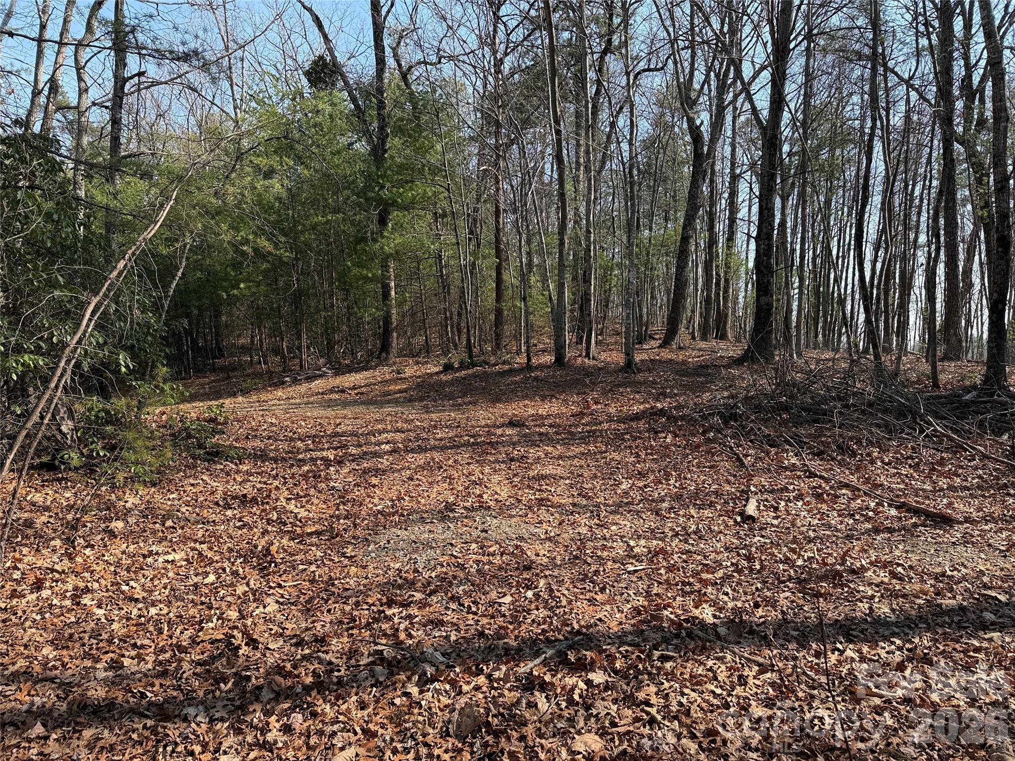 Buck Mountain - Land