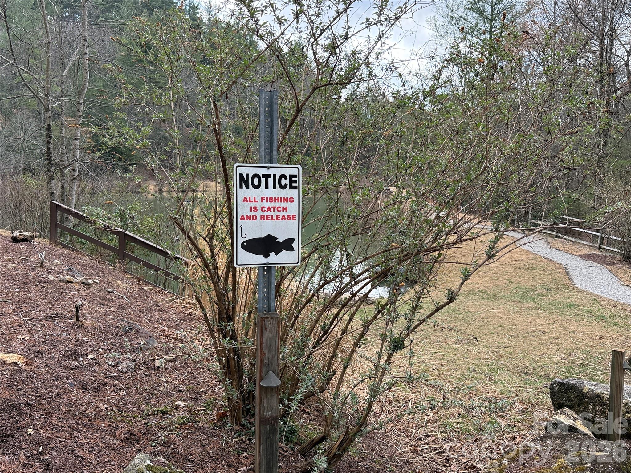 Buck Mountain - Land