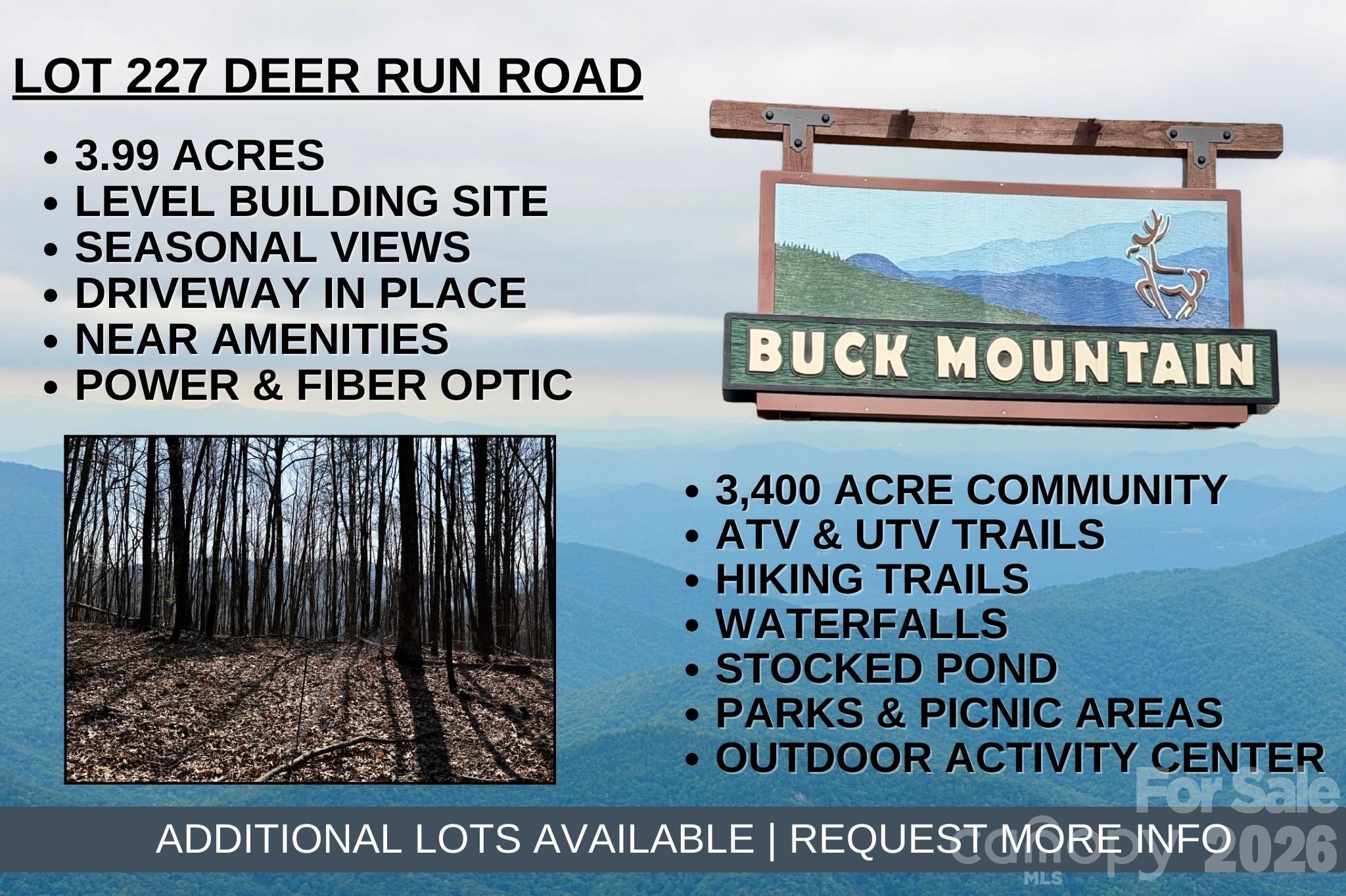 Buck Mountain - Land