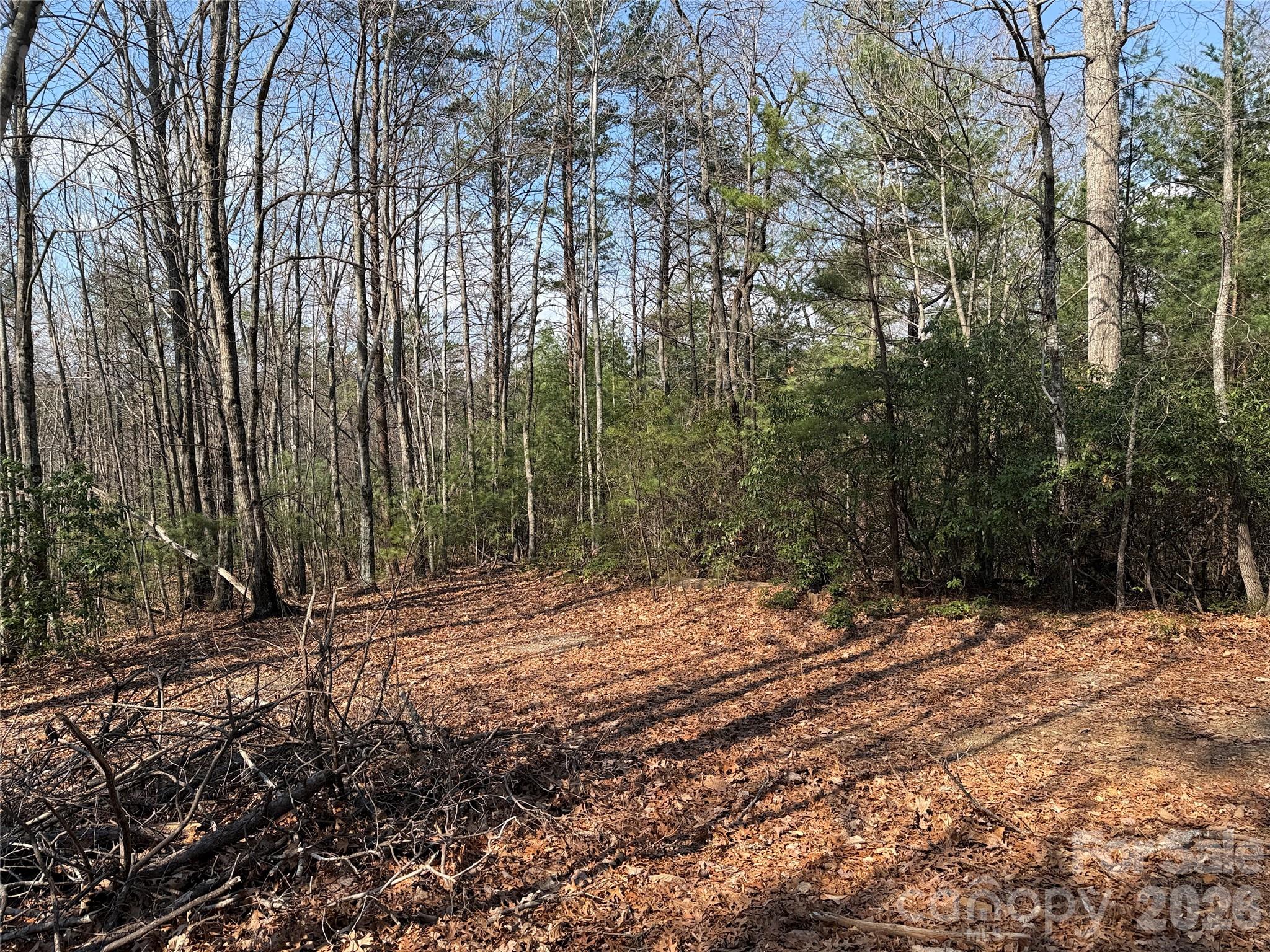 Buck Mountain - Land