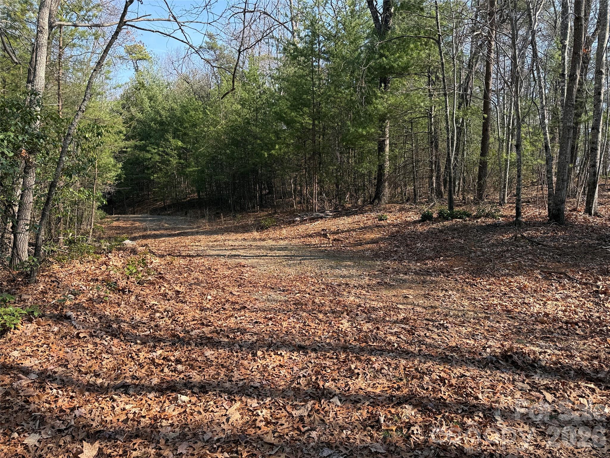 Buck Mountain - Land