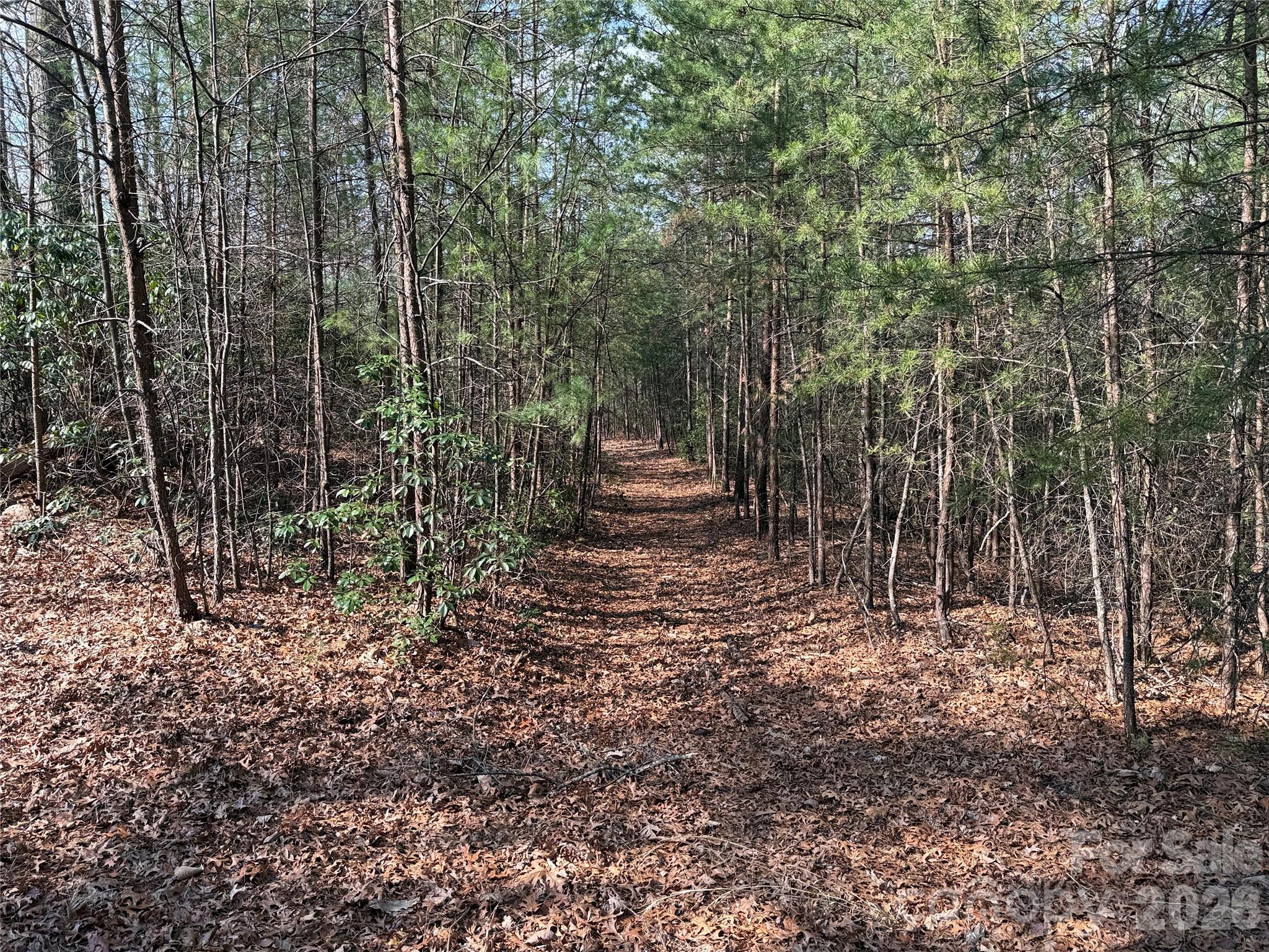 Buck Mountain - Land