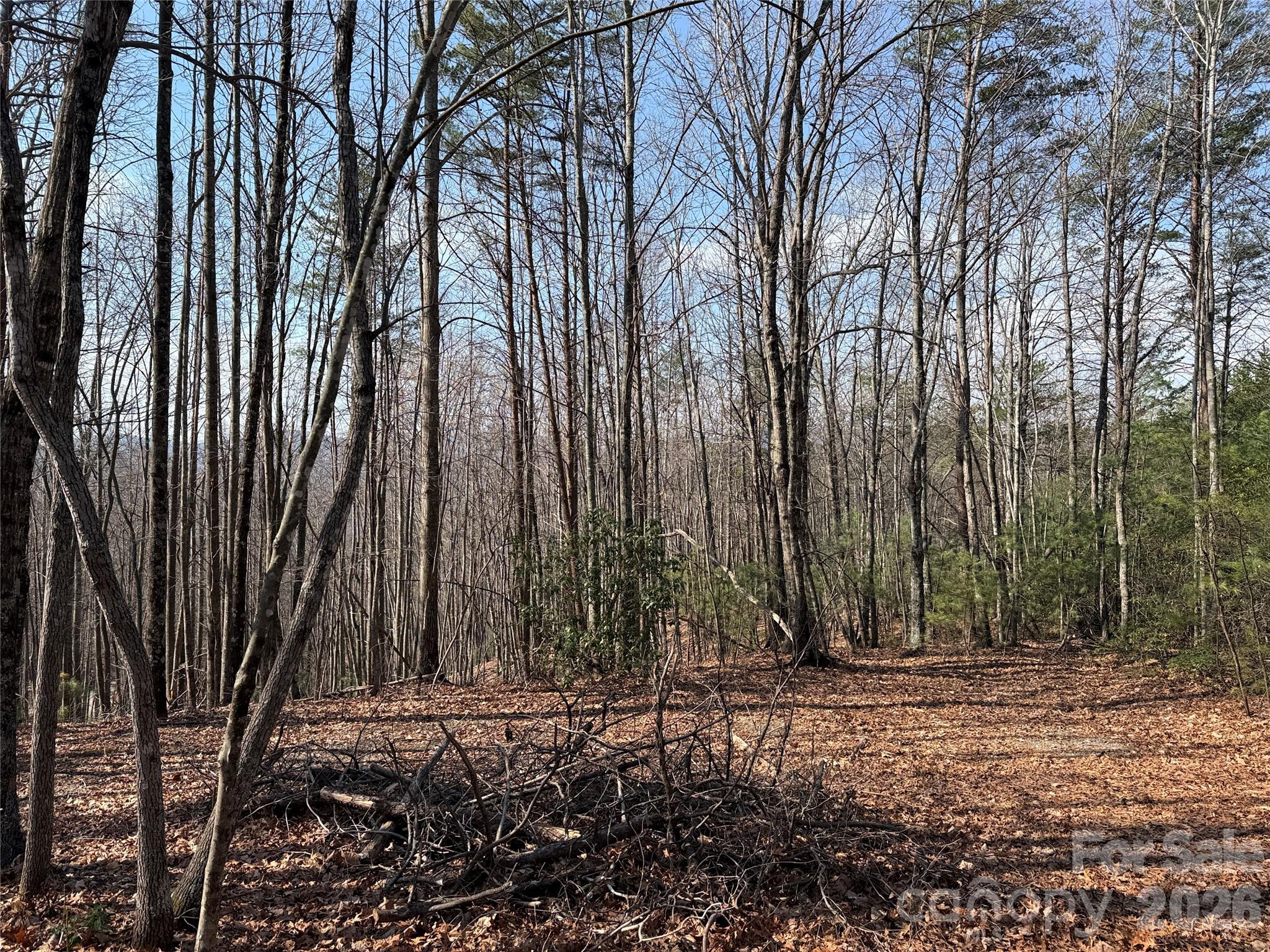 Buck Mountain - Land