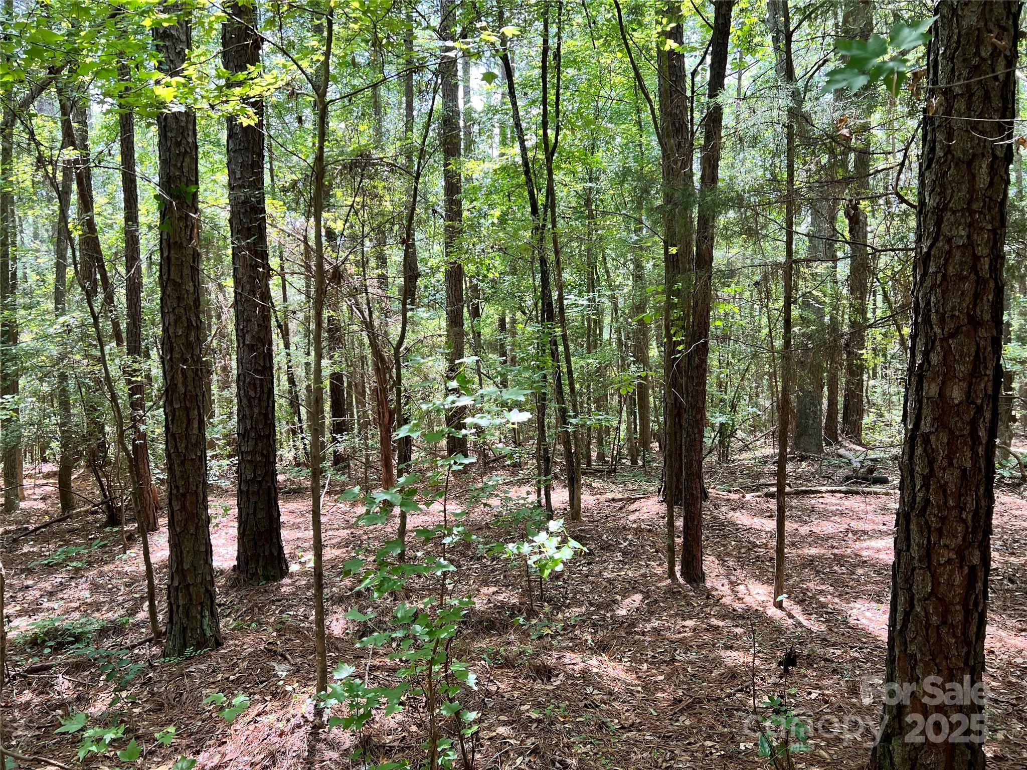 Cardinal Point - Land