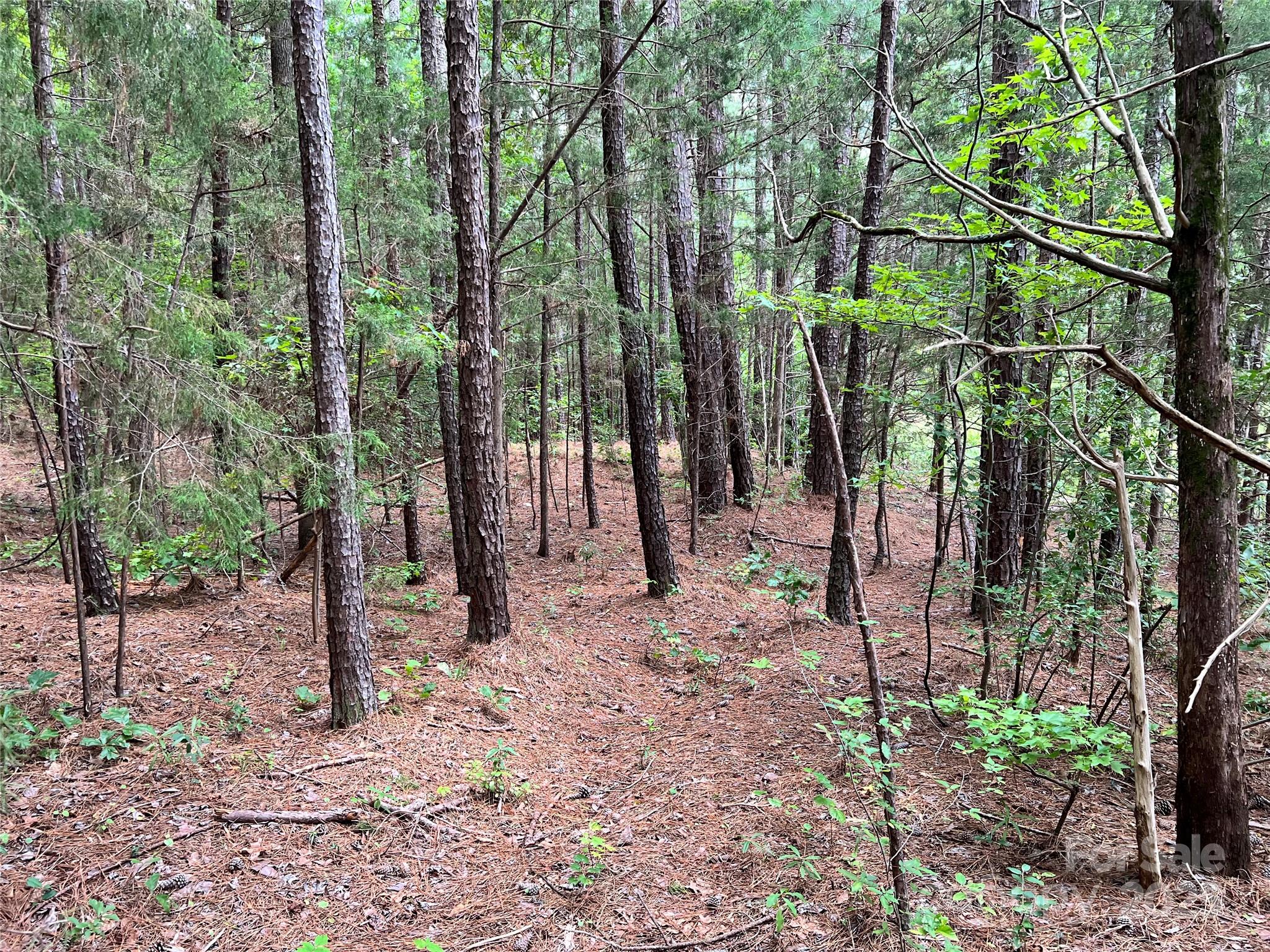 Cardinal Point - Land