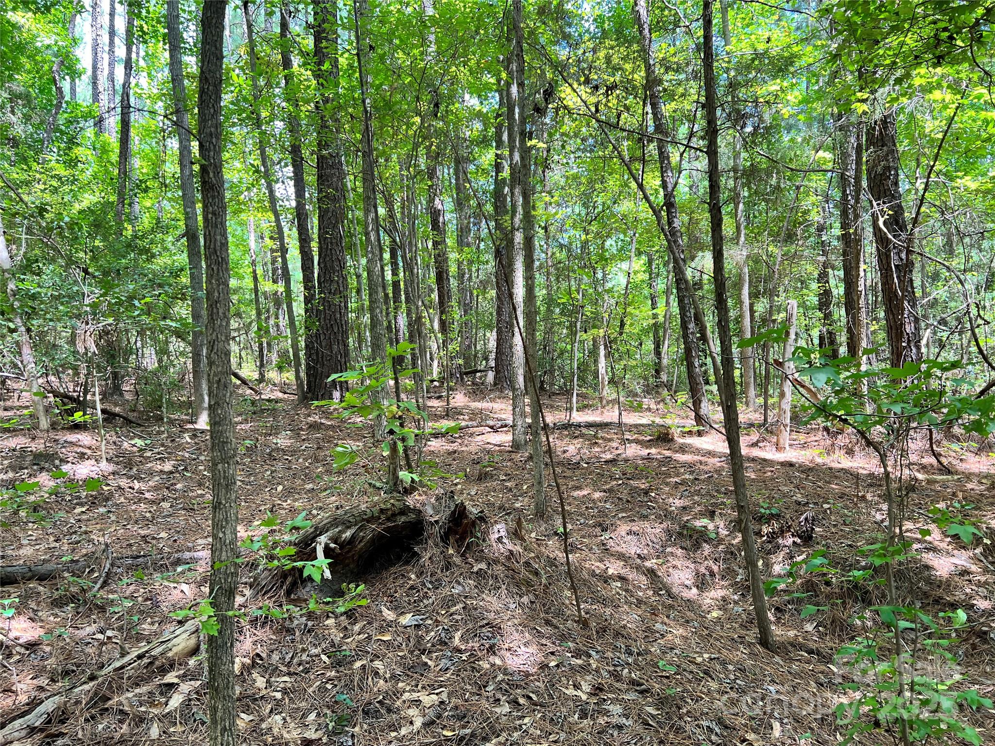 Cardinal Point - Land