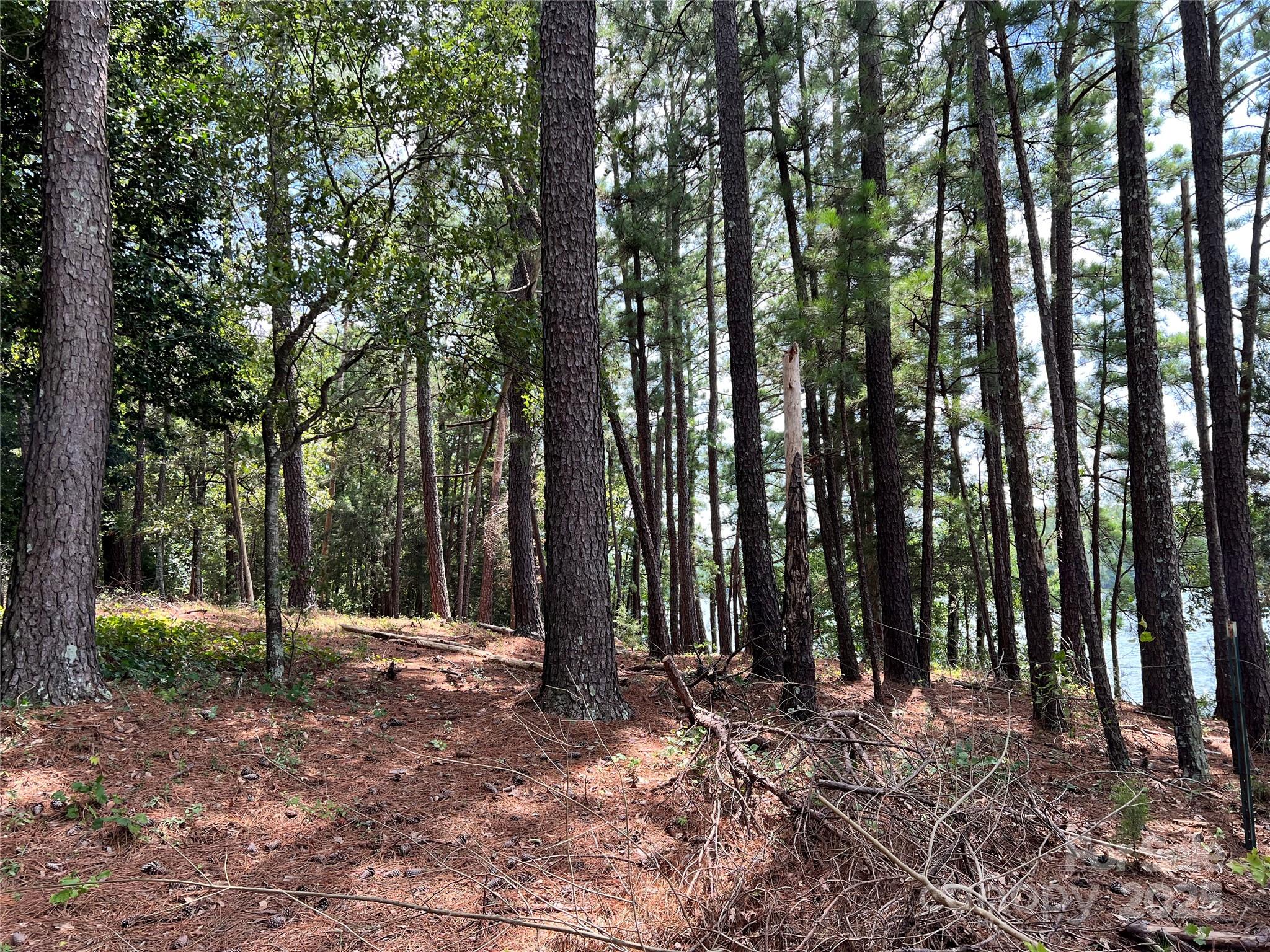 Cardinal Point - Land