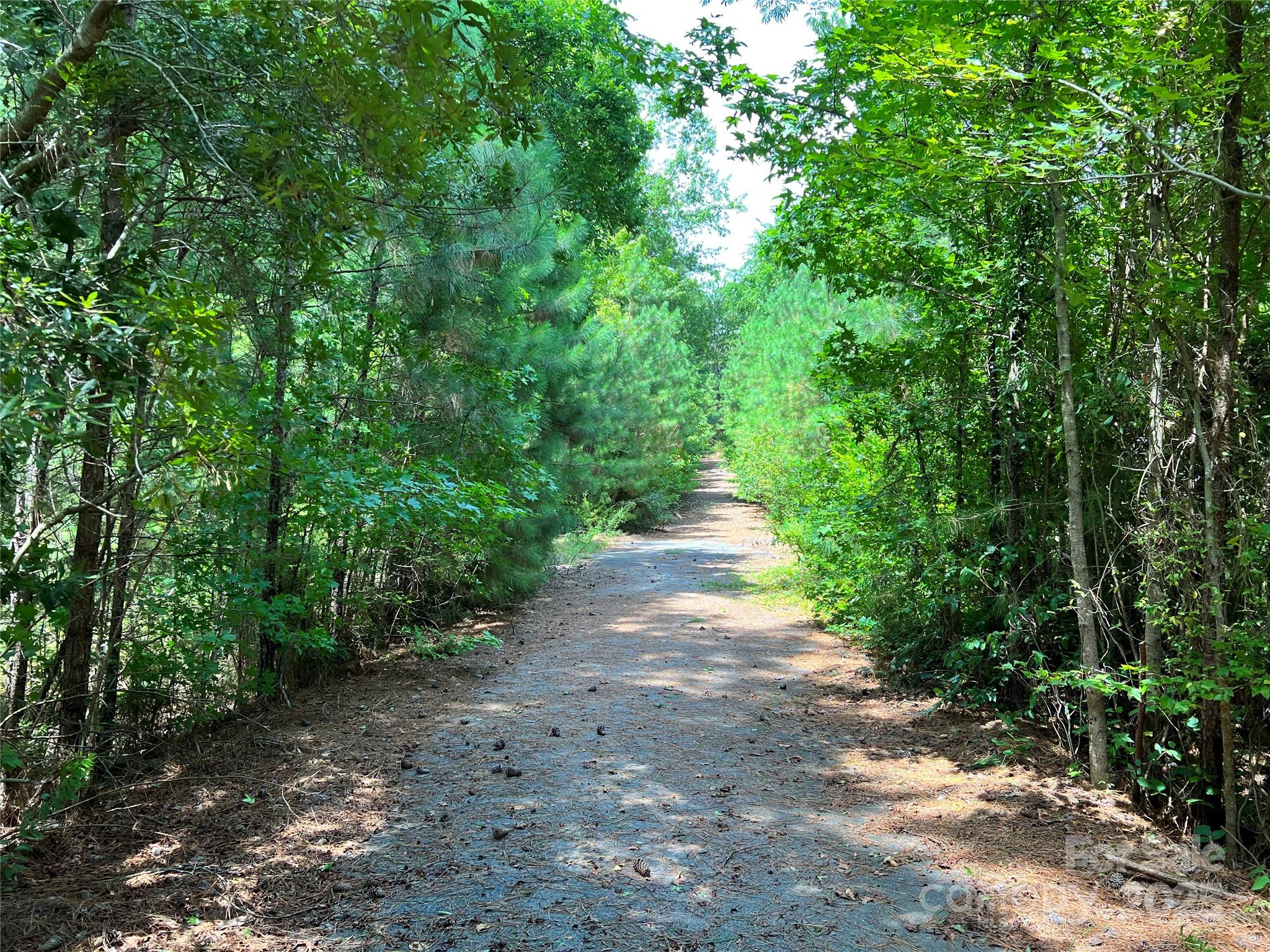 Cardinal Point - Land