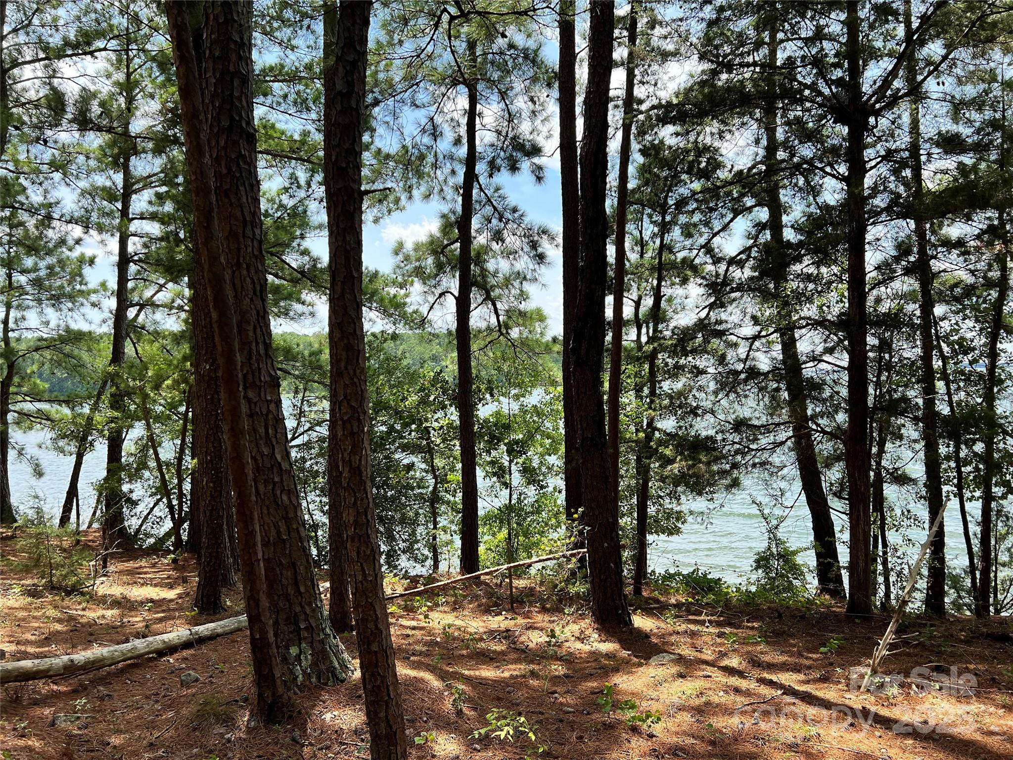 Cardinal Point - Land