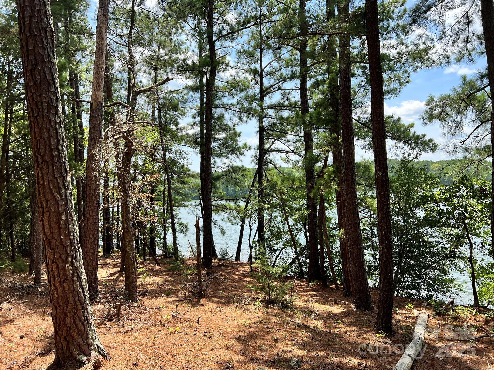 Cardinal Point - Land