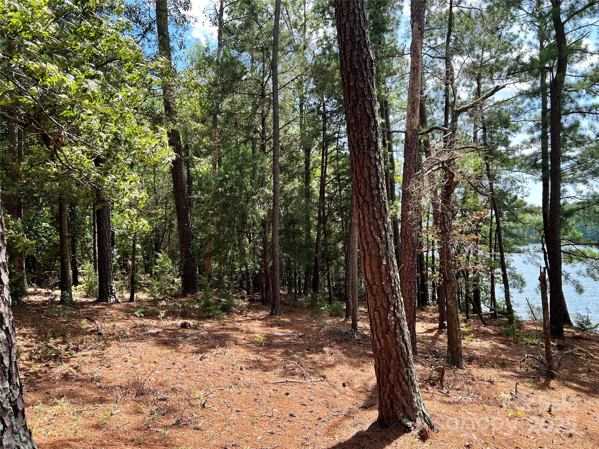 Cardinal Point - Land