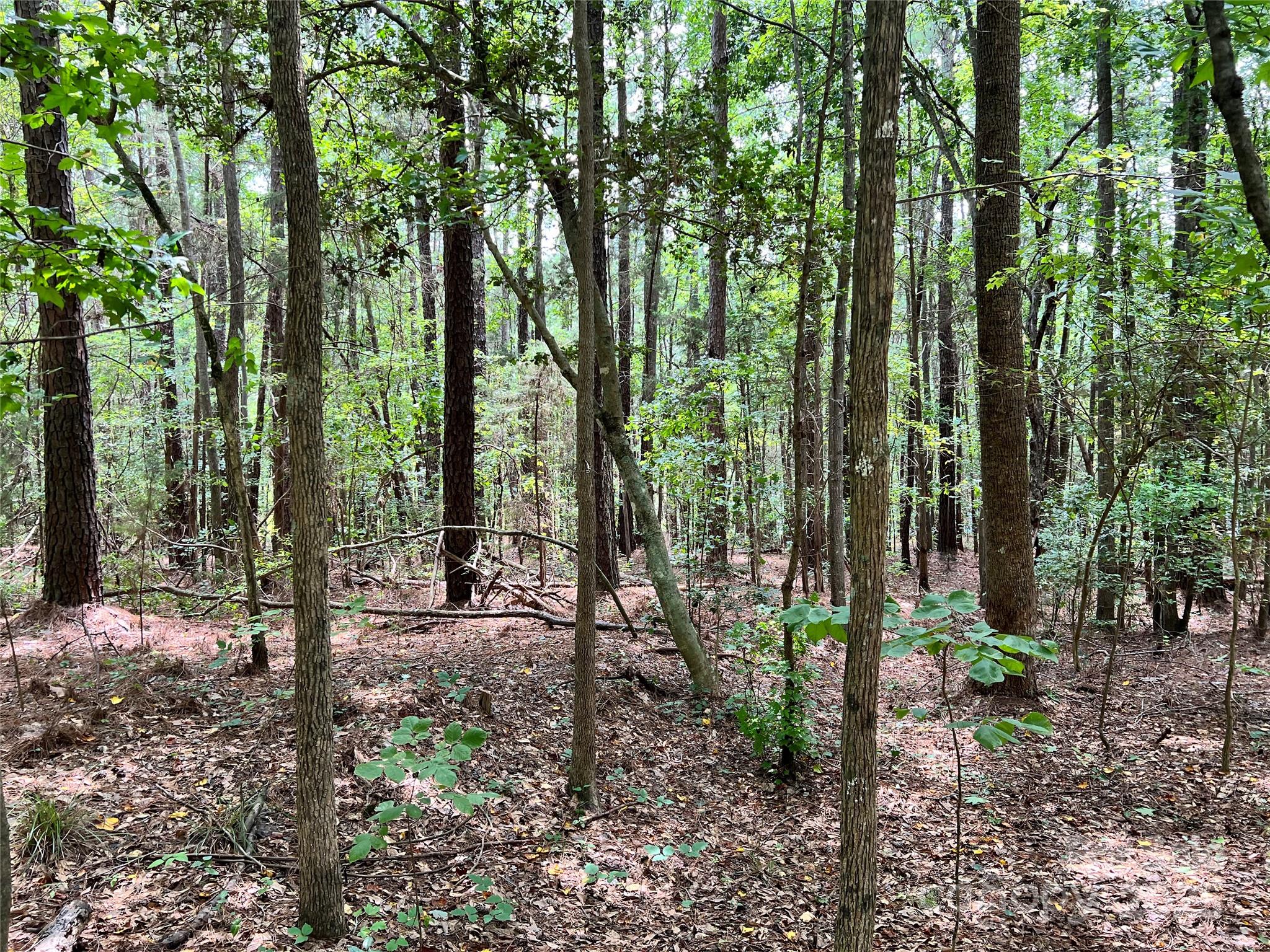 Cardinal Point - Land