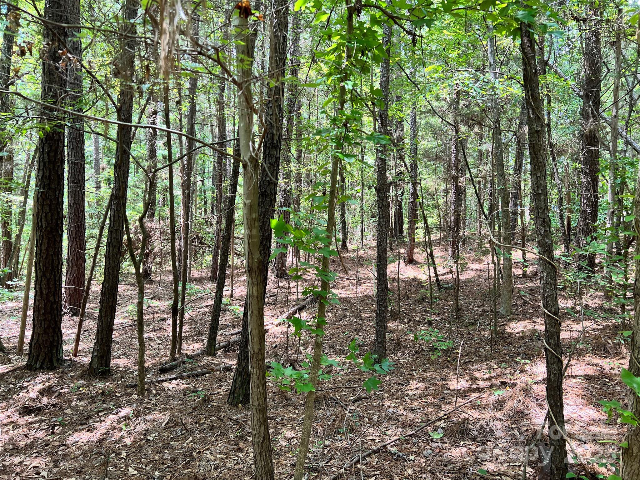 Cardinal Point - Land