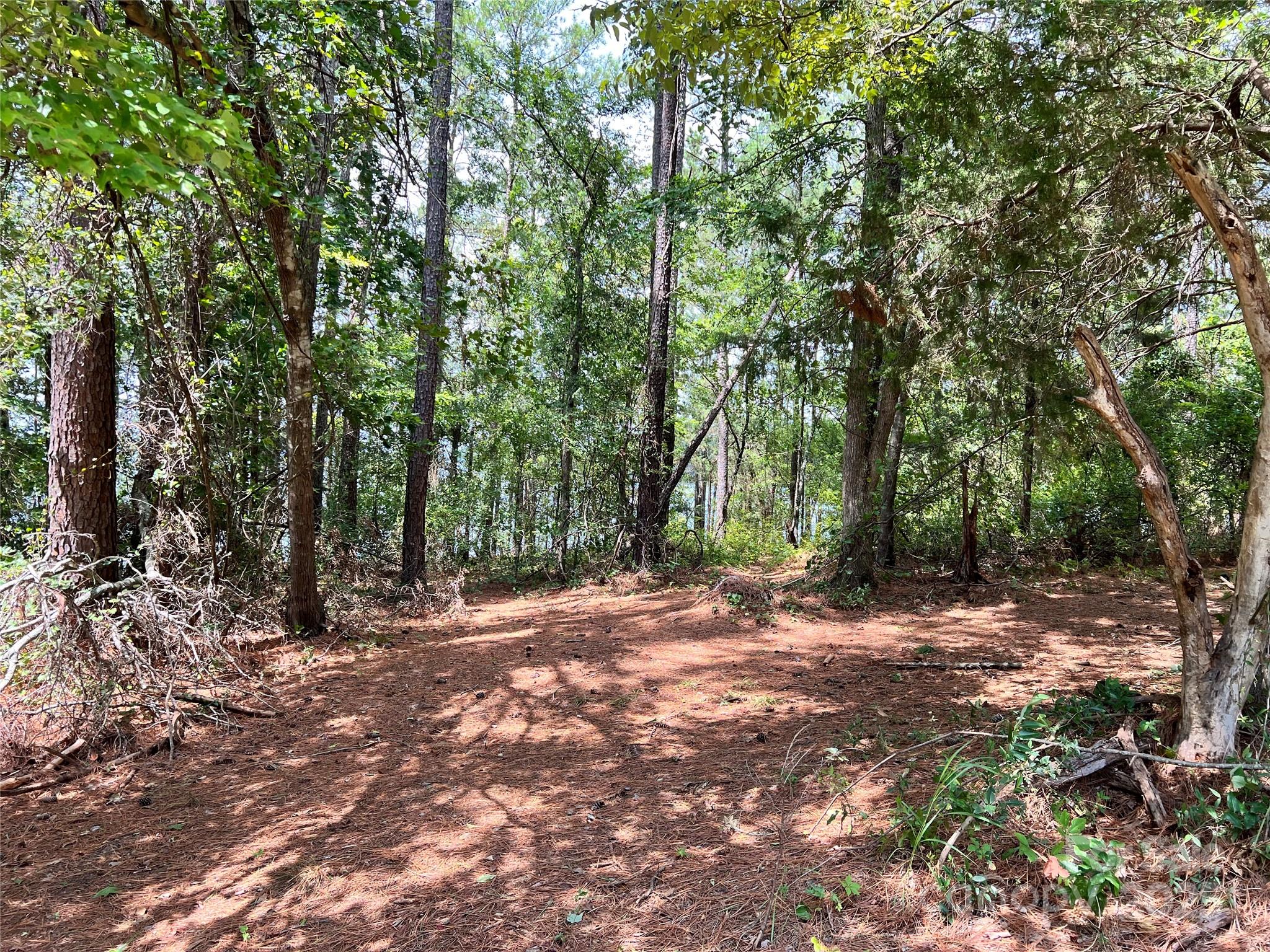 Cardinal Point - Land