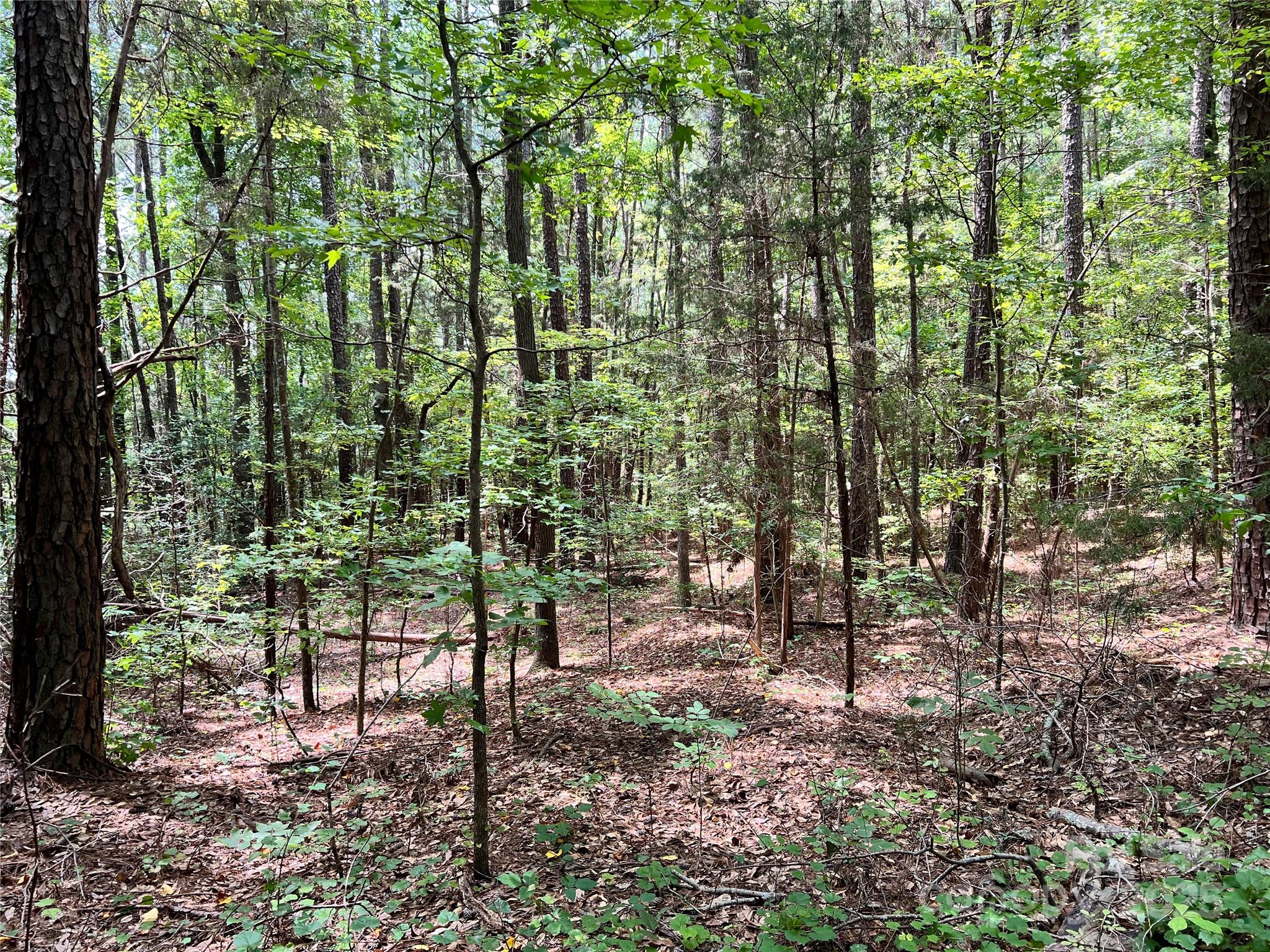 Cardinal Point - Land