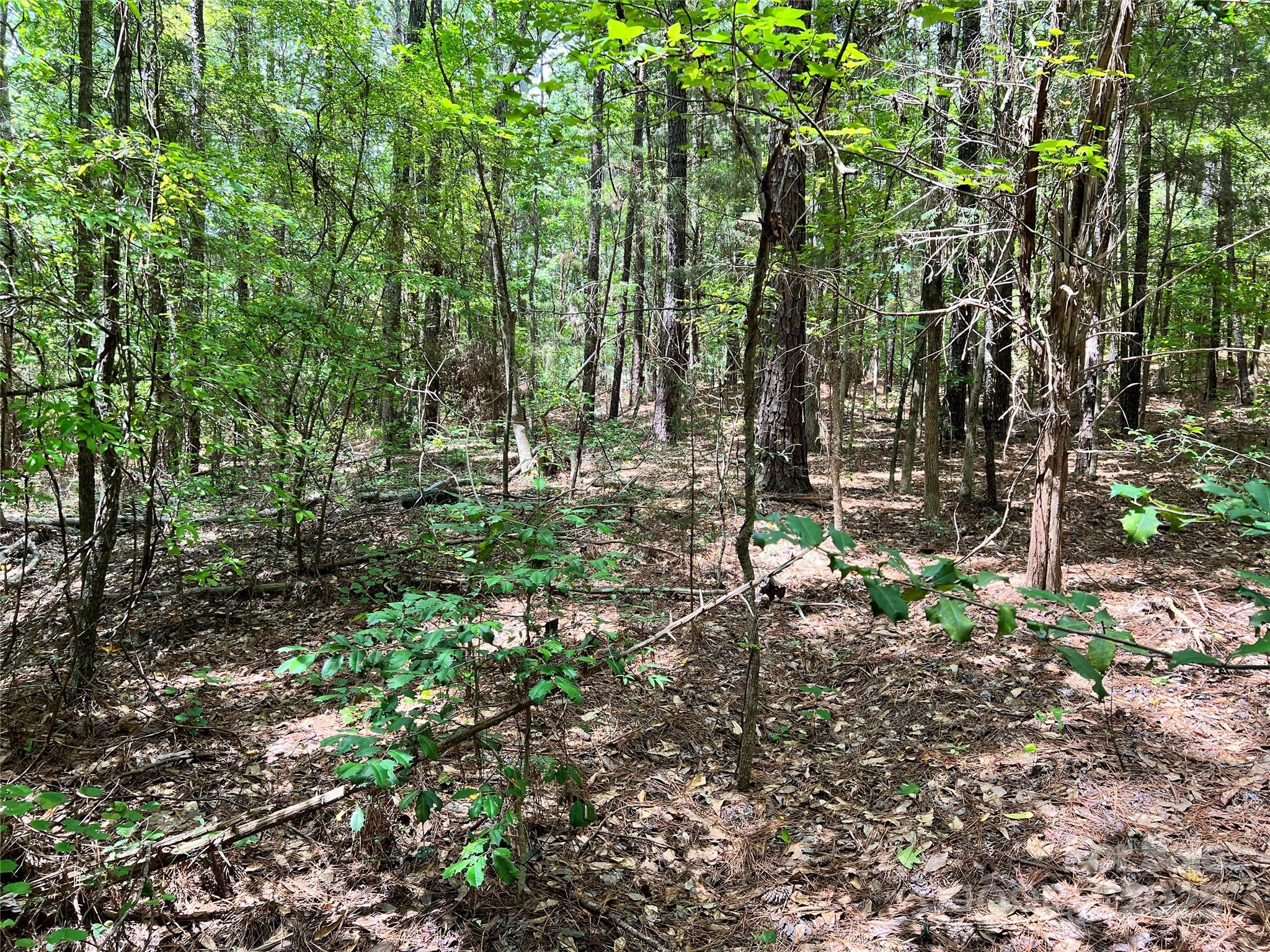 Cardinal Point - Land