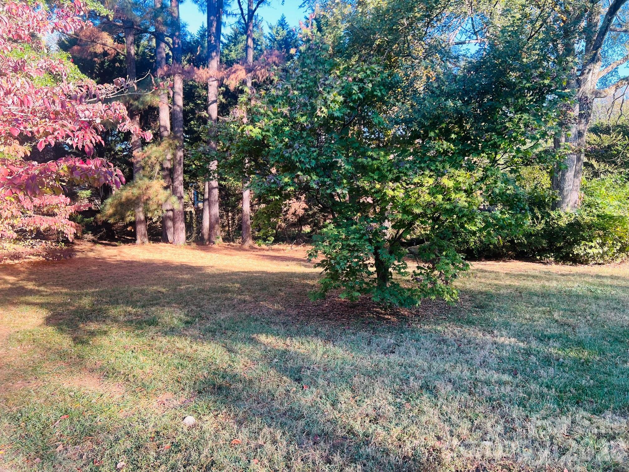 Matthews Estates - Residential