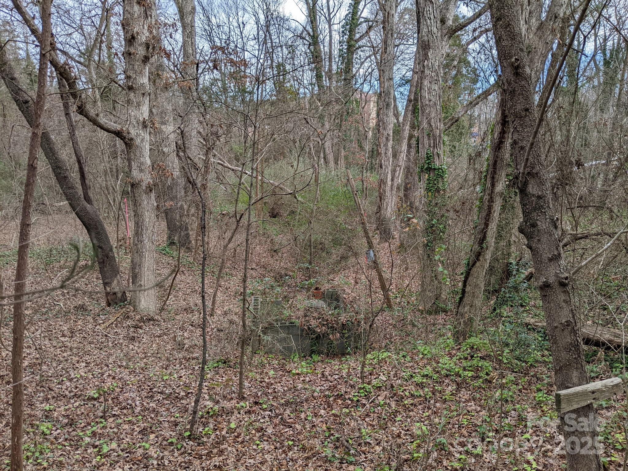 298 Elysian Drive 68