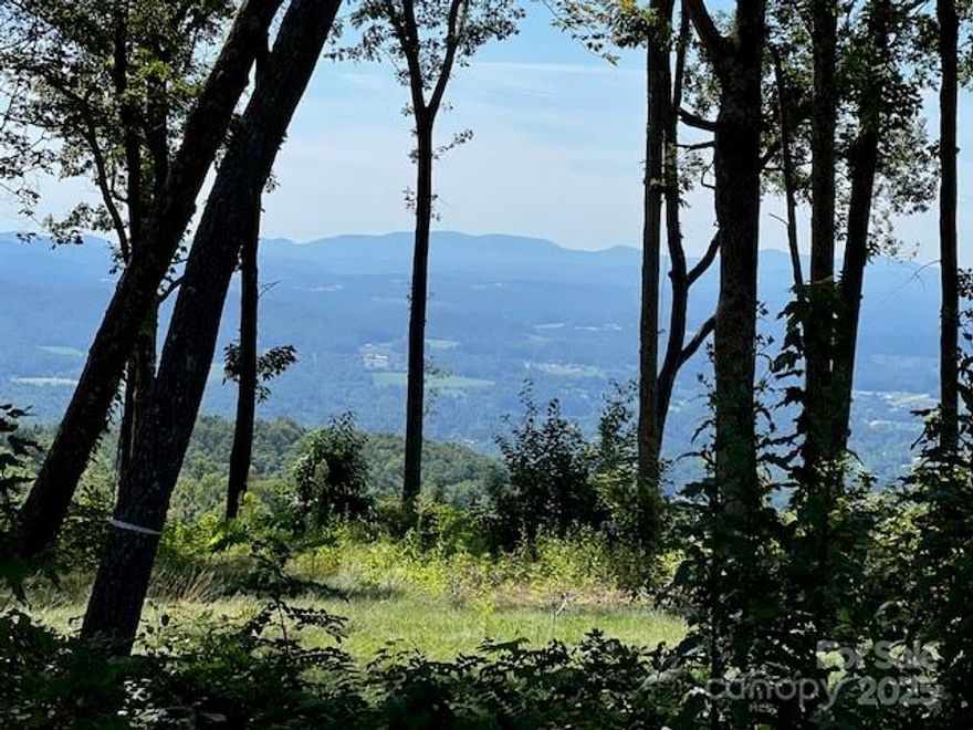 Sprout homesite 37 is the perfect property to settle on if you are looking for a flat mountain property. Homesite 37 allows you to build a single level living home with a South facing, long range view. This flat property is located next to a community garden and offers easy access to the 5 plus mile trail system located in the 150 acre conservation preserve. This property is unique in its topography and view quality coupled with buildability. The ability to build your dream home along with another separate space used for renting or another family member, if desired. Sprout offers the convenience of downtown Hendersonville and Asheville all within a few minutes commute.